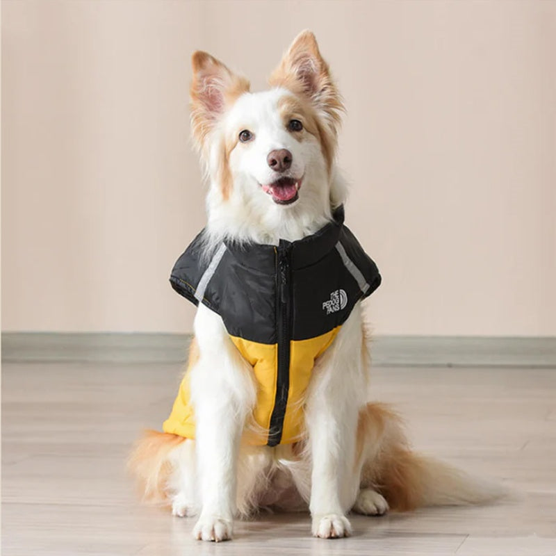 🔥Last Day Sale 50% OFF🐶Waterproof Windproof Winter Dog Coat-1