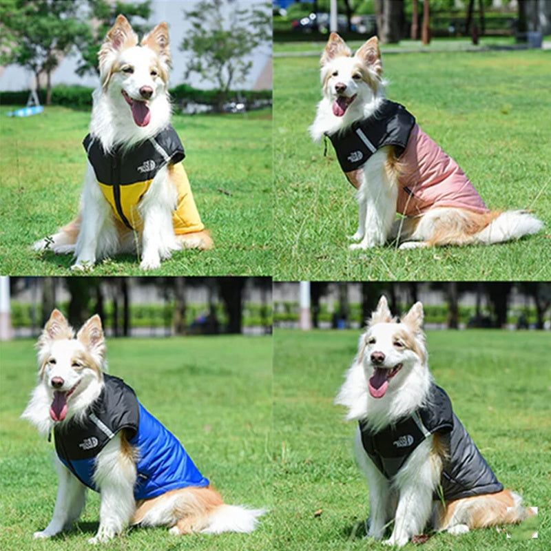 🔥Last Day Sale 50% OFF🐶Waterproof Windproof Winter Dog Coat-3