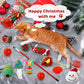 🎄Christmas Sale - 50%OFF🎅😻2025 Christmas Countdown Cat Toys Advent Calendar🎁-3