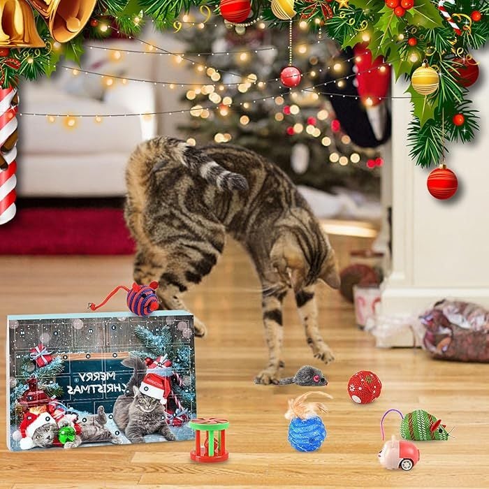 🎄Christmas Sale - 50%OFF🎅😻2025 Christmas Countdown Cat Toys Advent Calendar🎁-6